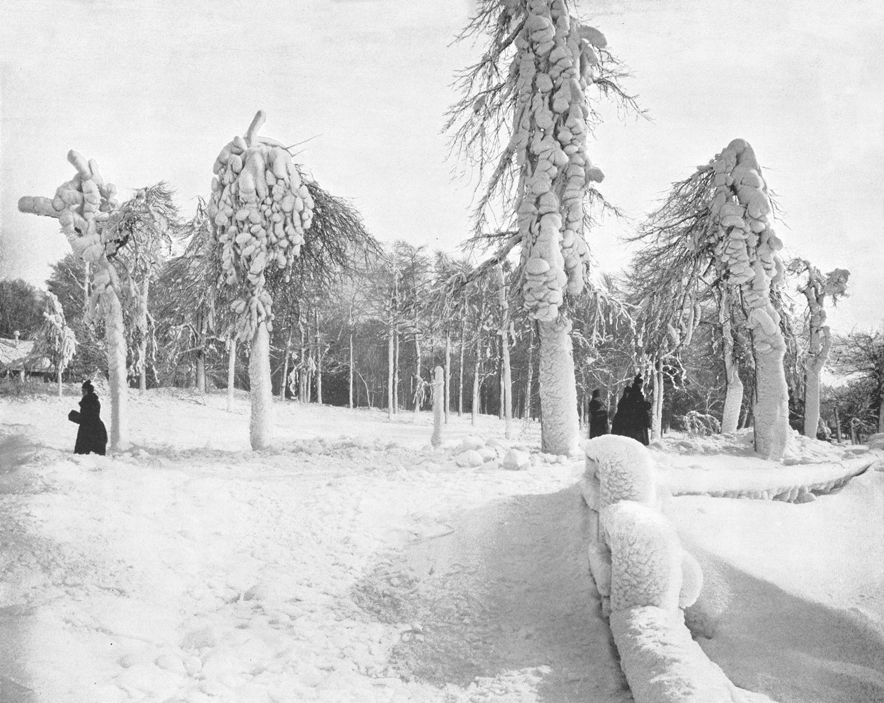 Frost Work in Prospect Park, Niagara, USA, c1900. tekijältä Unbekannt