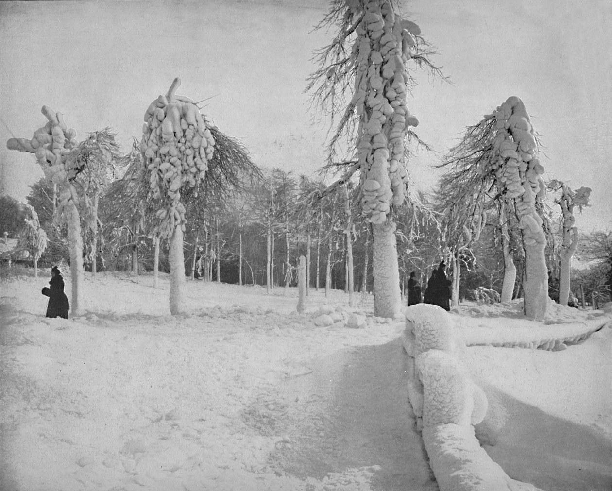 Frost Work in Prospect Park, Niagara, c1897. tekijältä Unbekannt