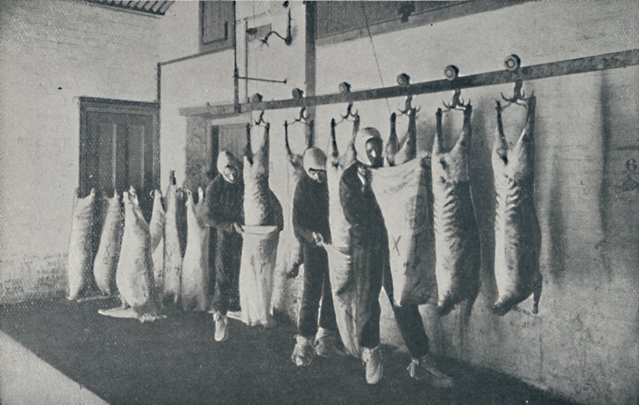 Pakastettu liha, 1910 tekijältä Unbekannt