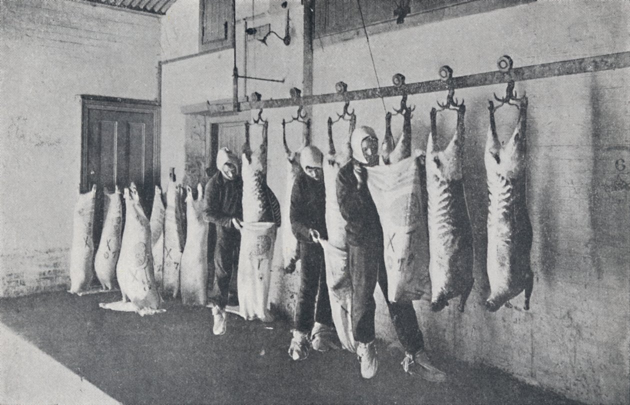 Pakastettu liha, 1923. tekijältä Unbekannt