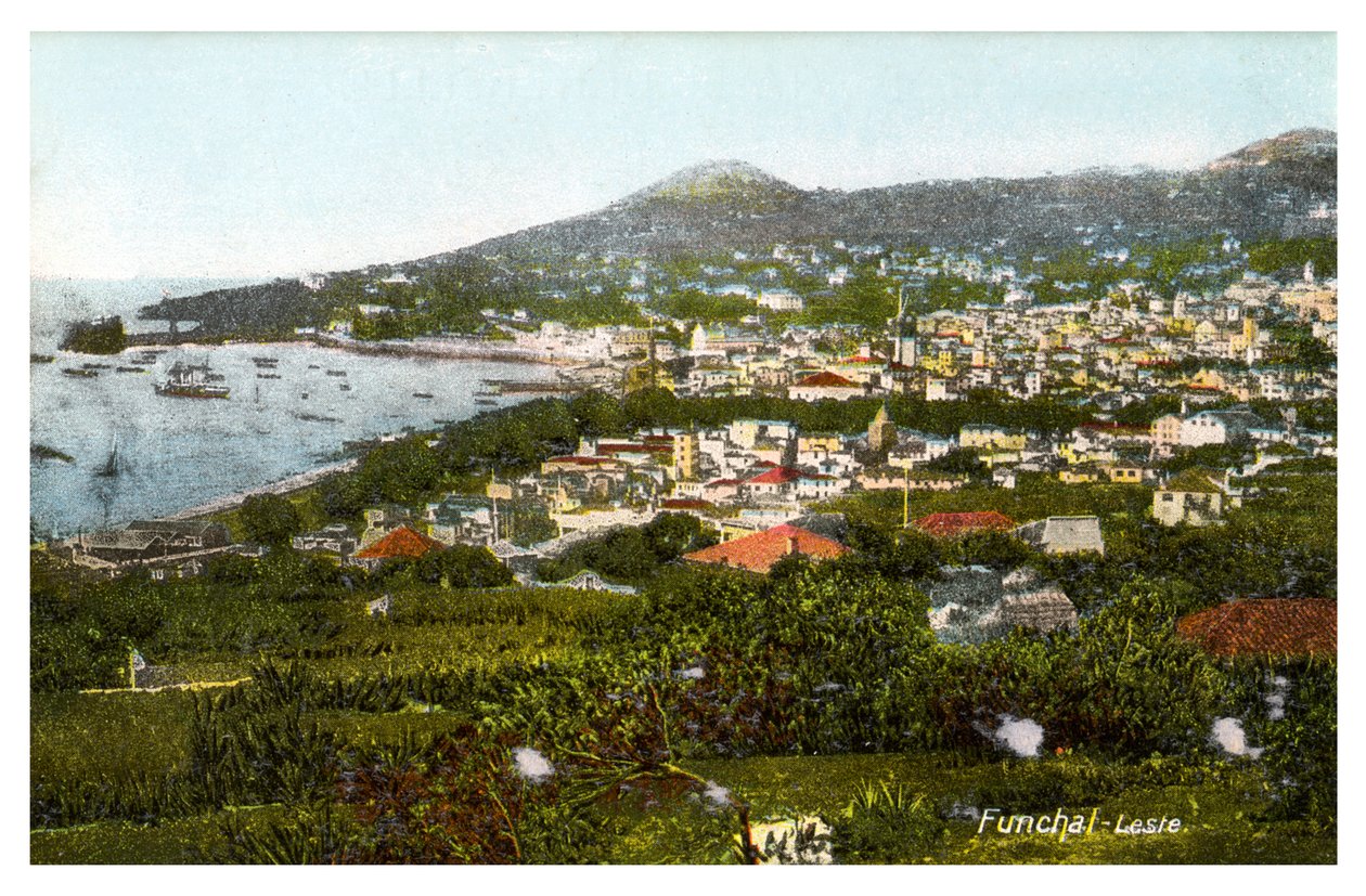 Funchal, Madeira, 1900-luvun alku tekijältä Unbekannt