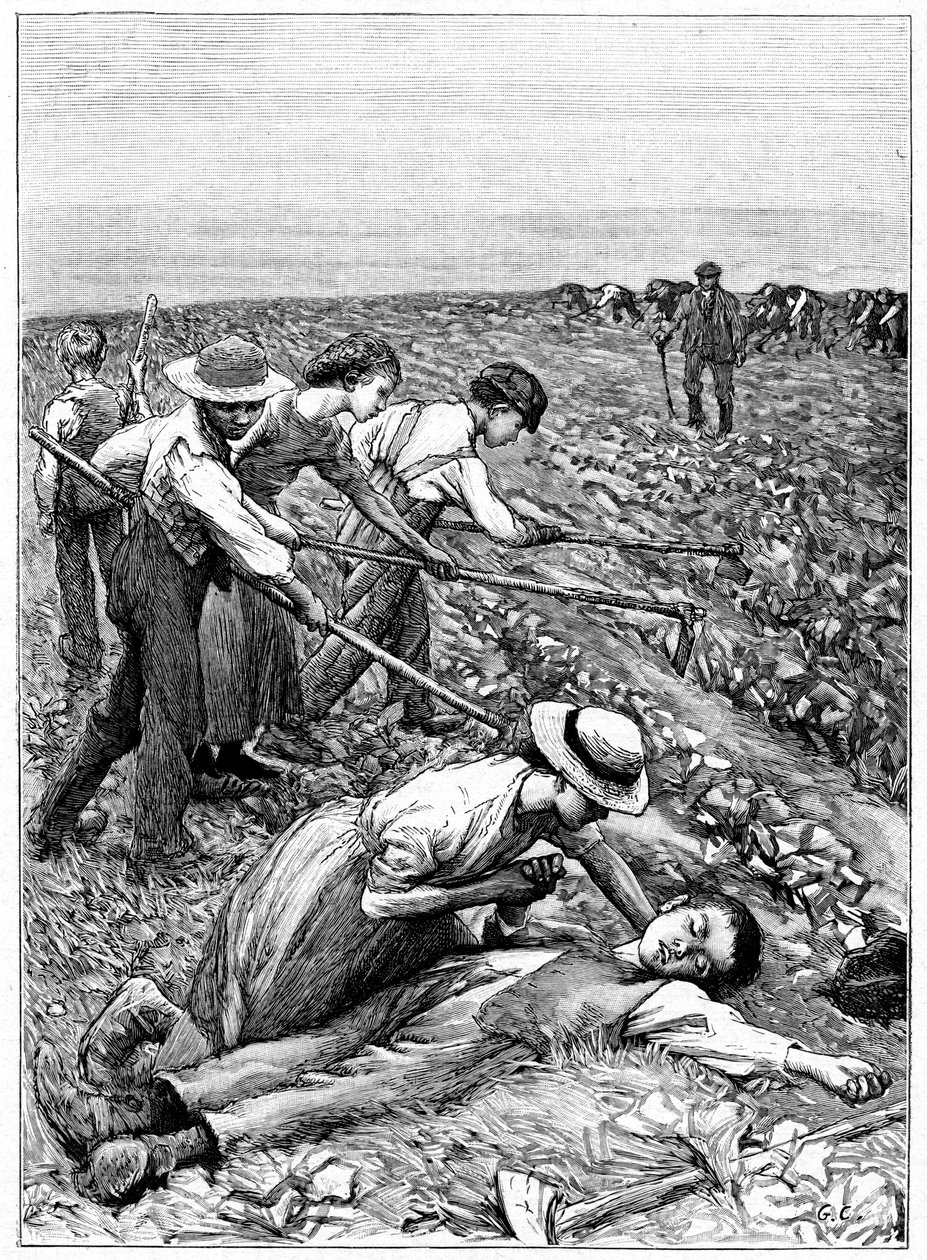 Lapsityövoiman jengijärjestelmä, c1885 tekijältä Unbekannt