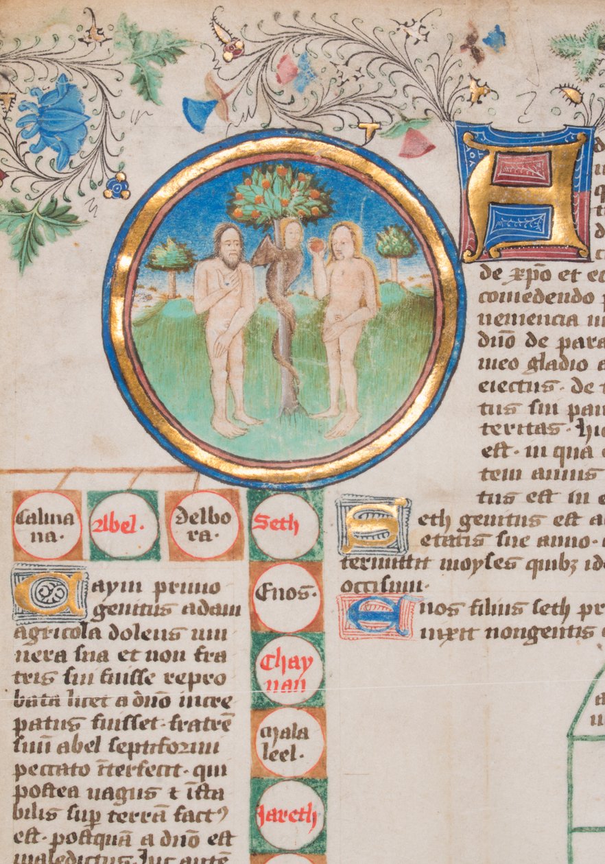 Englannin kuninkaiden sukututkimus kronikka, 1466-67. tekijältä Unbekannt