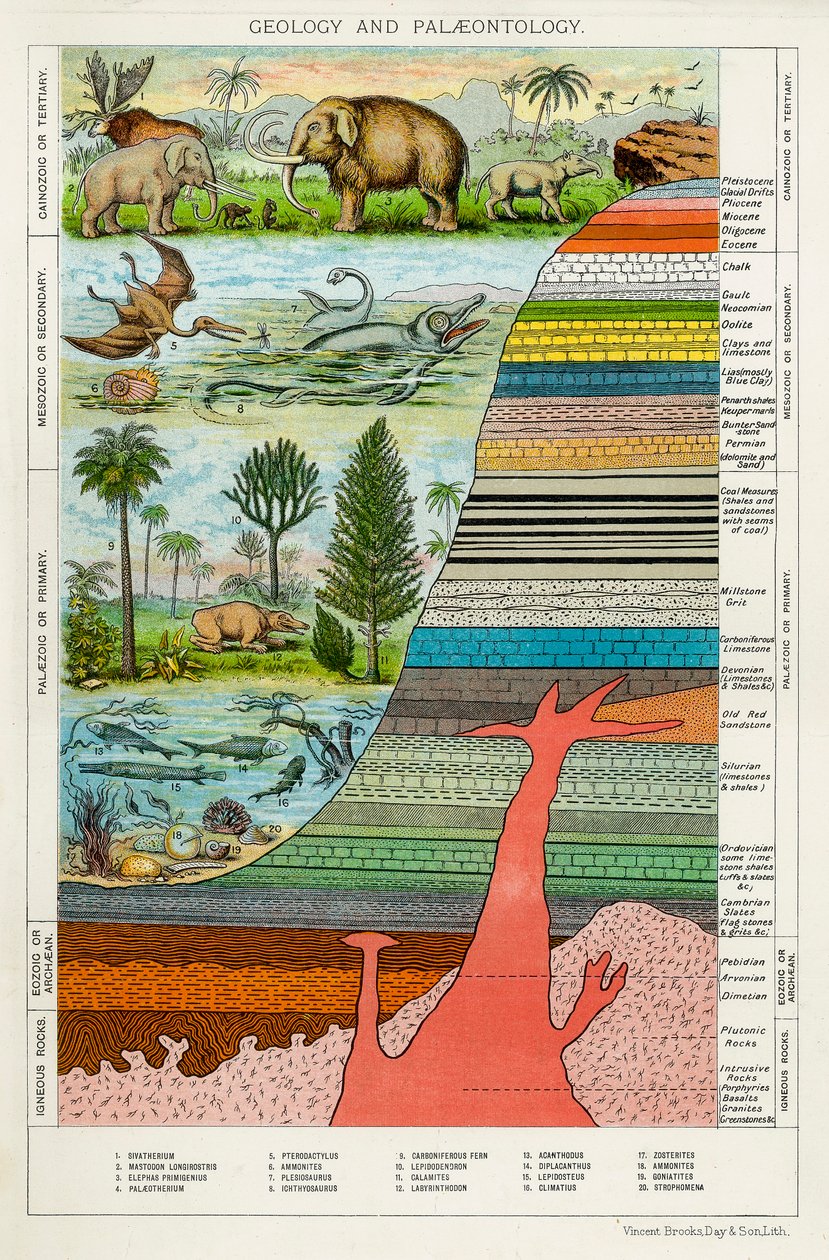 Geologia ja paleontologia, c1880 tekijältä Unbekannt