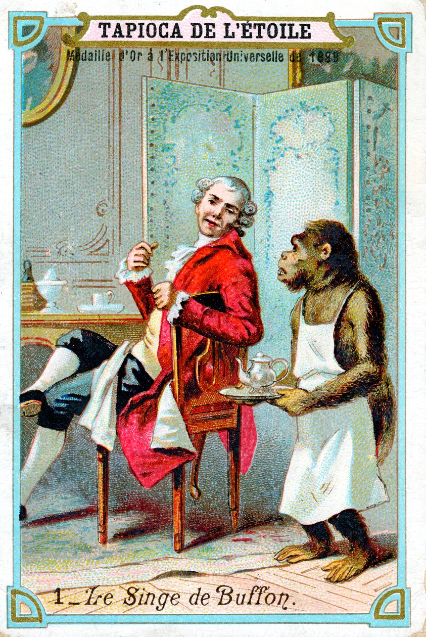 George-Louis Leclerc, Comte de Buffon, 1700-luvun ranskalainen luonnontieteilijä, 1890 tekijältä Unbekannt