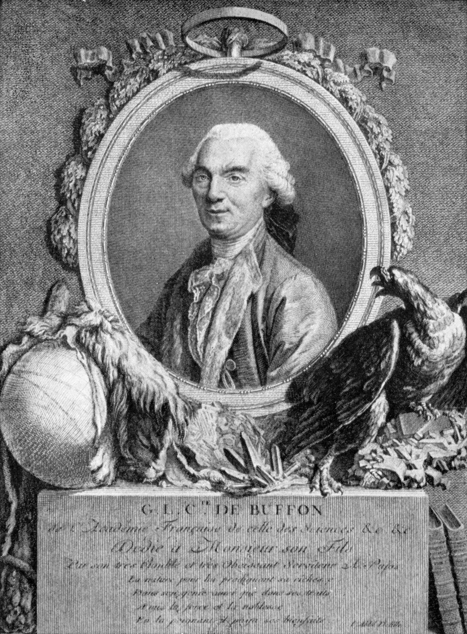 Georges-Louis Leclerc, Comte de Buffon, ranskalainen luonnontieteilijä, 1700-luku tekijältä Unbekannt