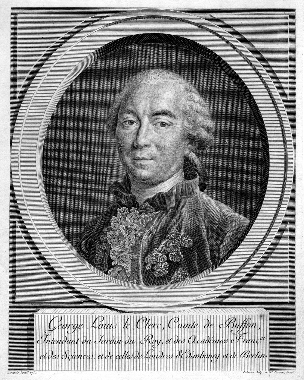 Georges-Louis Leclerc, Comte du Buffon, ranskalainen luonnontieteilijä, 1761 tekijältä Unbekannt