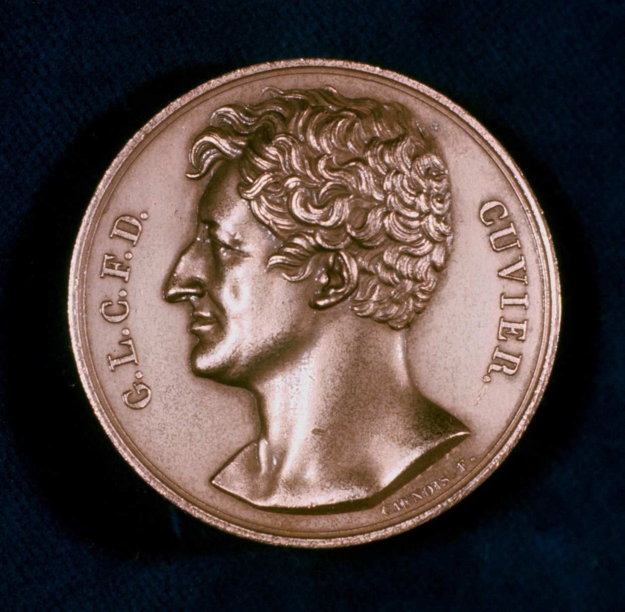 Georges Leopold Chretien Frederic Dagobert, paroni Cuvier, ranskalainen anatomi, 1800-luku tekijältä Unbekannt