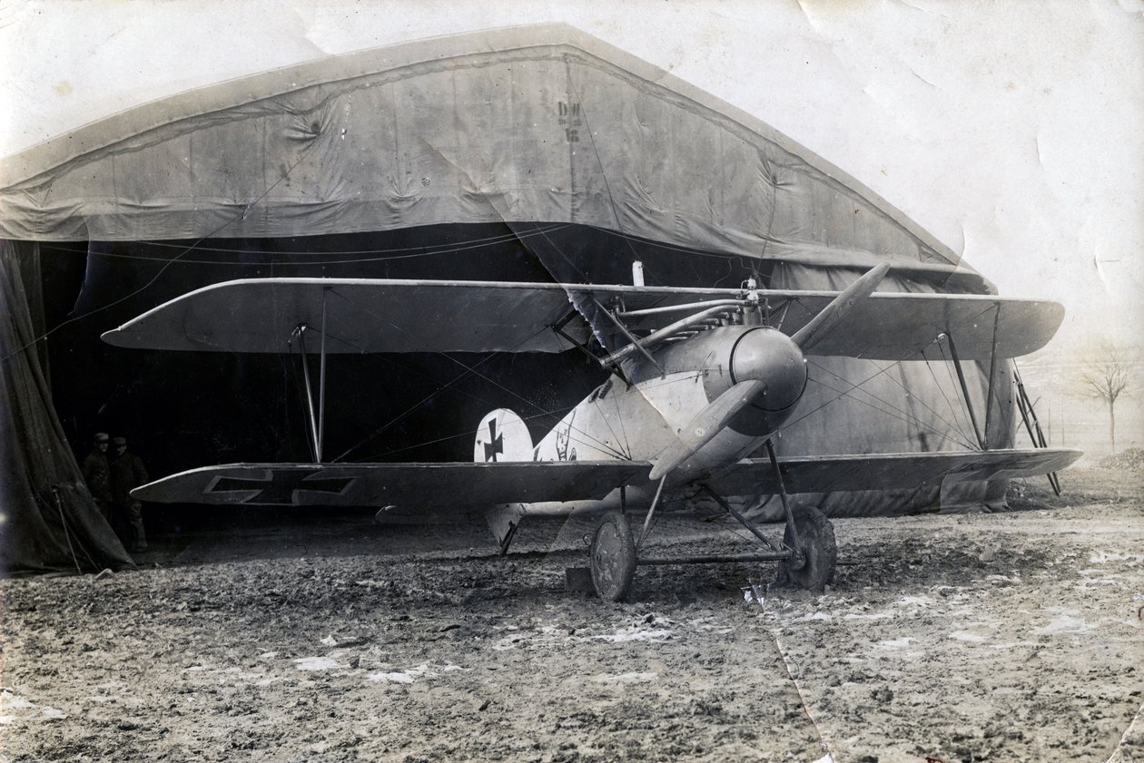 Saksalainen Albatros DV, Souilly, Ranska, 2. tammikuuta 1918 tekijältä Unbekannt