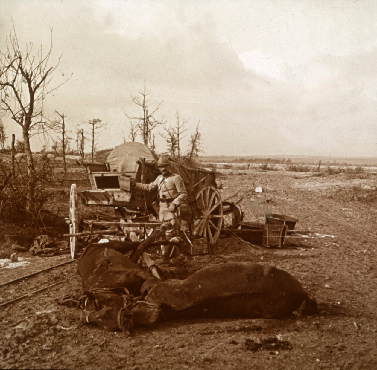 Saksalainen hevosvetoinen ajoneuvo, Tahure, Pohjois-Ranska, c1914-c1918 tekijältä Unbekannt