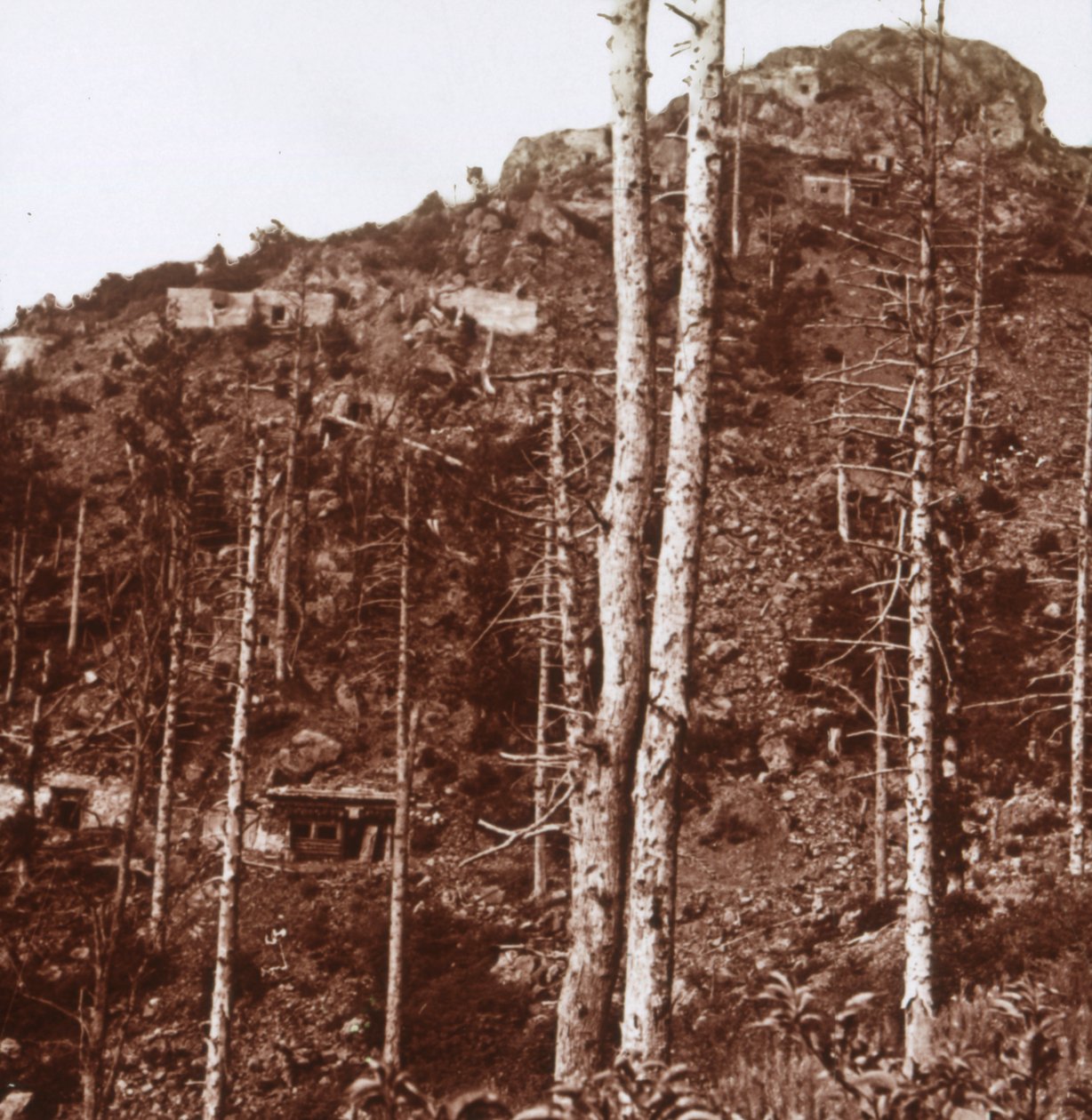 Saksan linjat, c1914-c1918 tekijältä Unbekannt