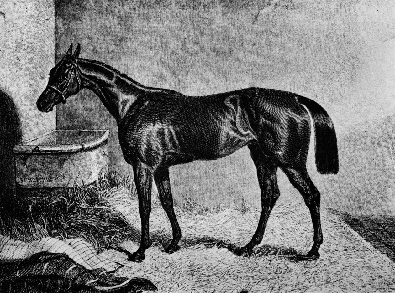 Ghuznee, 1800-luku, 1911 tekijältä Unbekannt