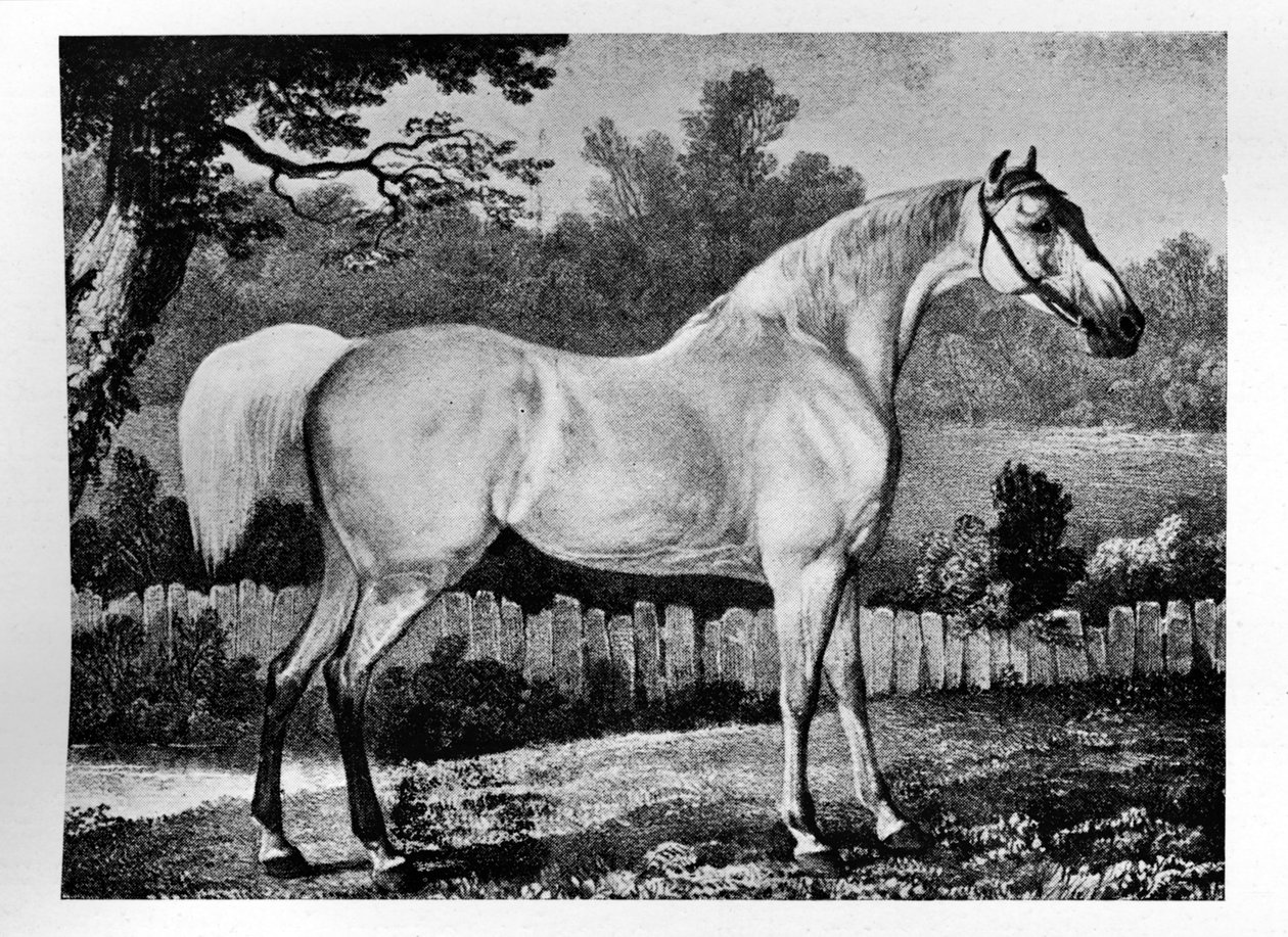 Gimcrack, 1760-1777, 1911 tekijältä Unbekannt