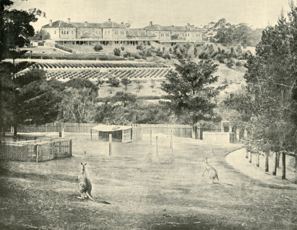 Gladesville Asylum for the Insane, New South Wales, 1901. tekijältä Unbekannt