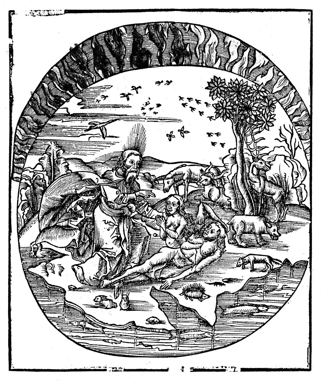Jumala loi Eevan Aatamin kylkiluusta, 1508 tekijältä Unbekannt