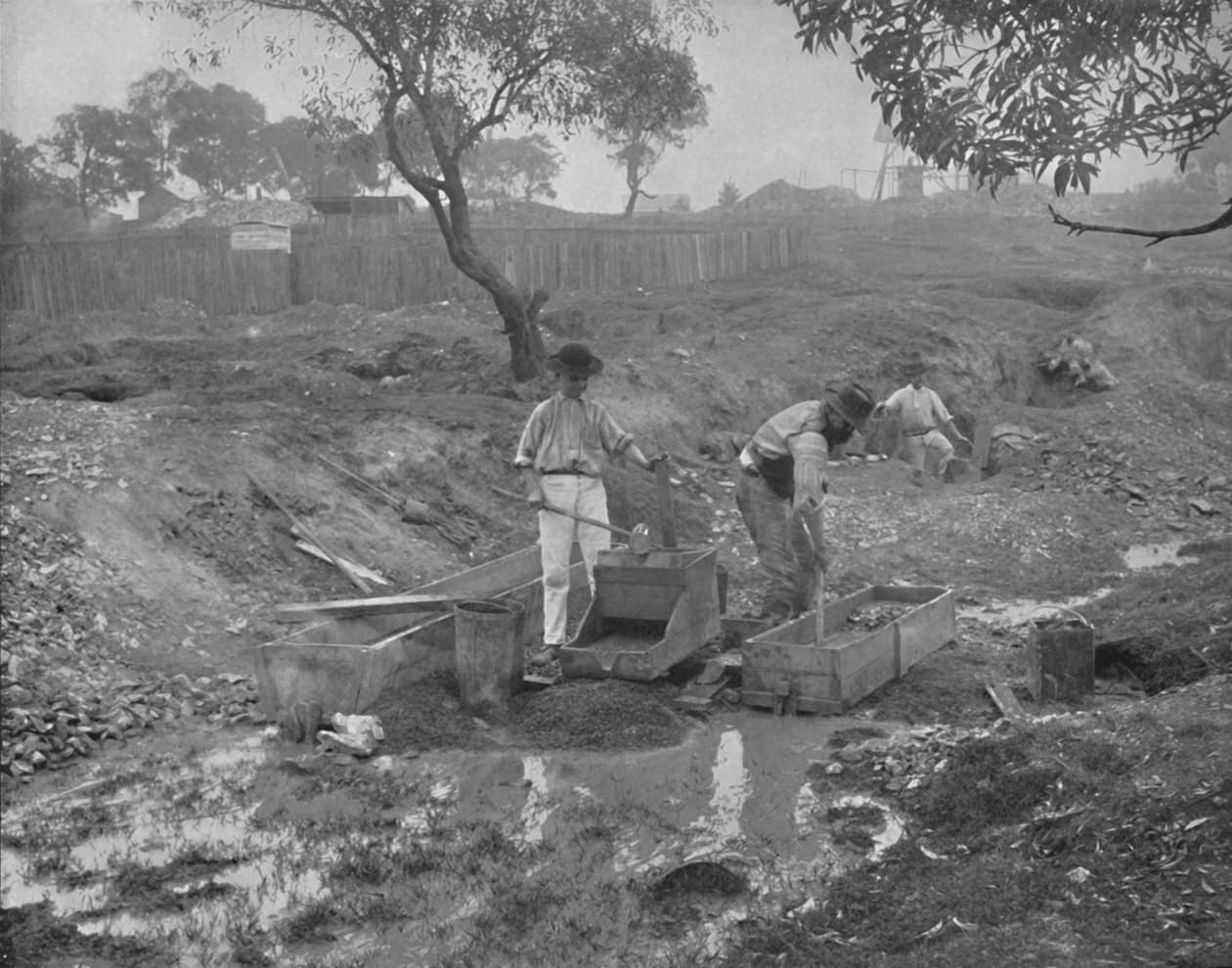Kullankaivaus Australiassa, 1800-luku tekijältä Unbekannt