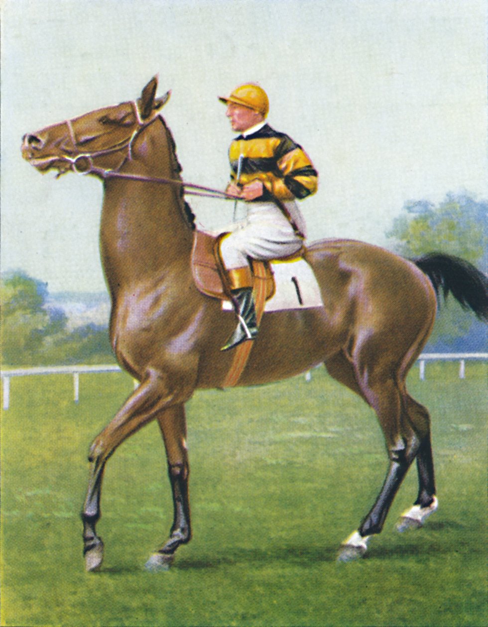 Golden Suvereign, Jockey: T. Weston, 1939 tekijältä Unbekannt