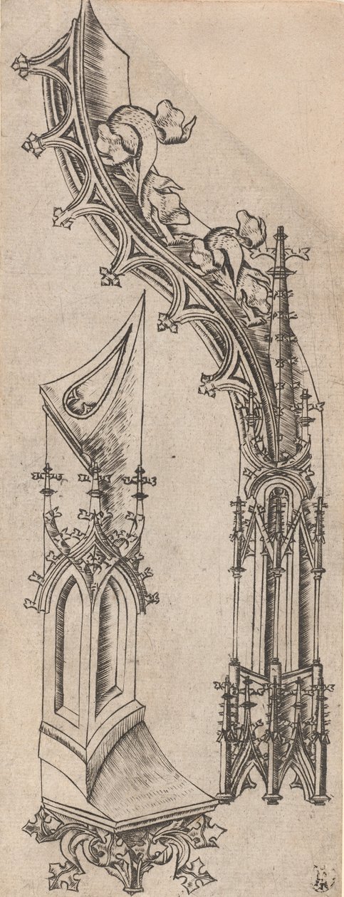Goottilainen kirjain D, c. 14801500. tekijältä Unbekannt