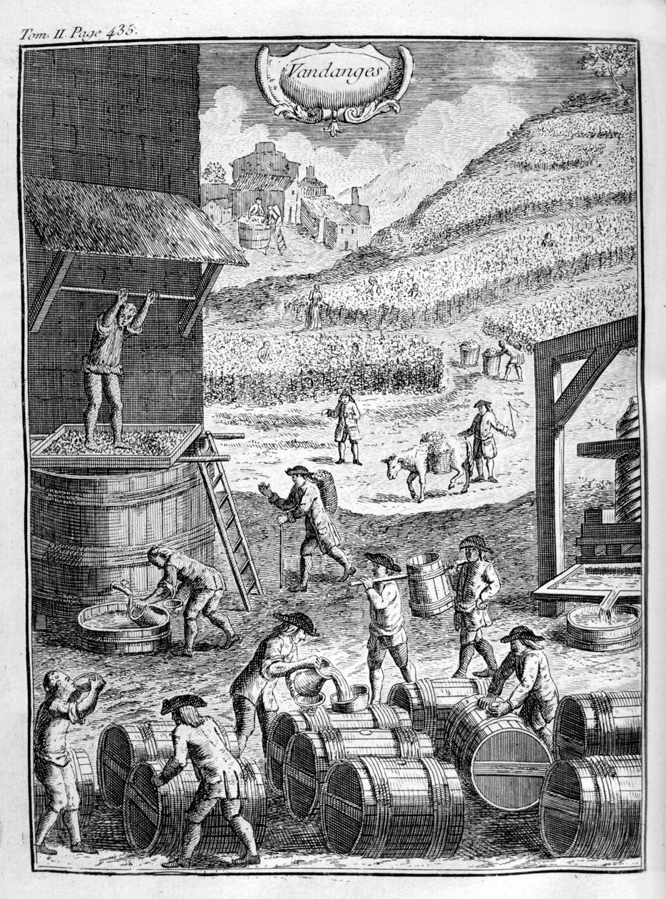 Rypäleen sato, 1775 tekijältä Unbekannt