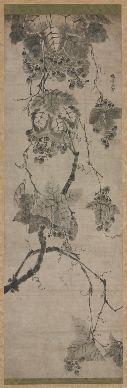 Viinirypäleet, 1700-luku. tekijältä Unbekannt