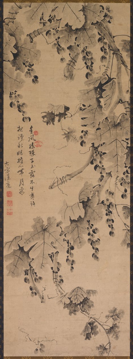 Viiniköynnös, 1700-1800-luku. tekijältä Unbekannt