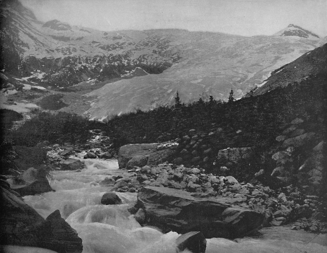 Suuri jäätikkö, Selkirk-vuoret, Kanada, 1897. tekijältä Unbekannt