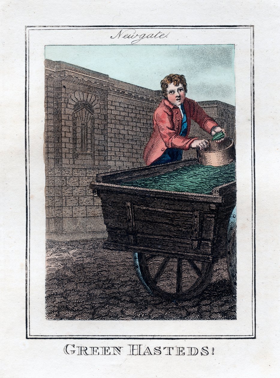 Green Hasteds, Newgate, Lontoo, 1805 tekijältä Unbekannt