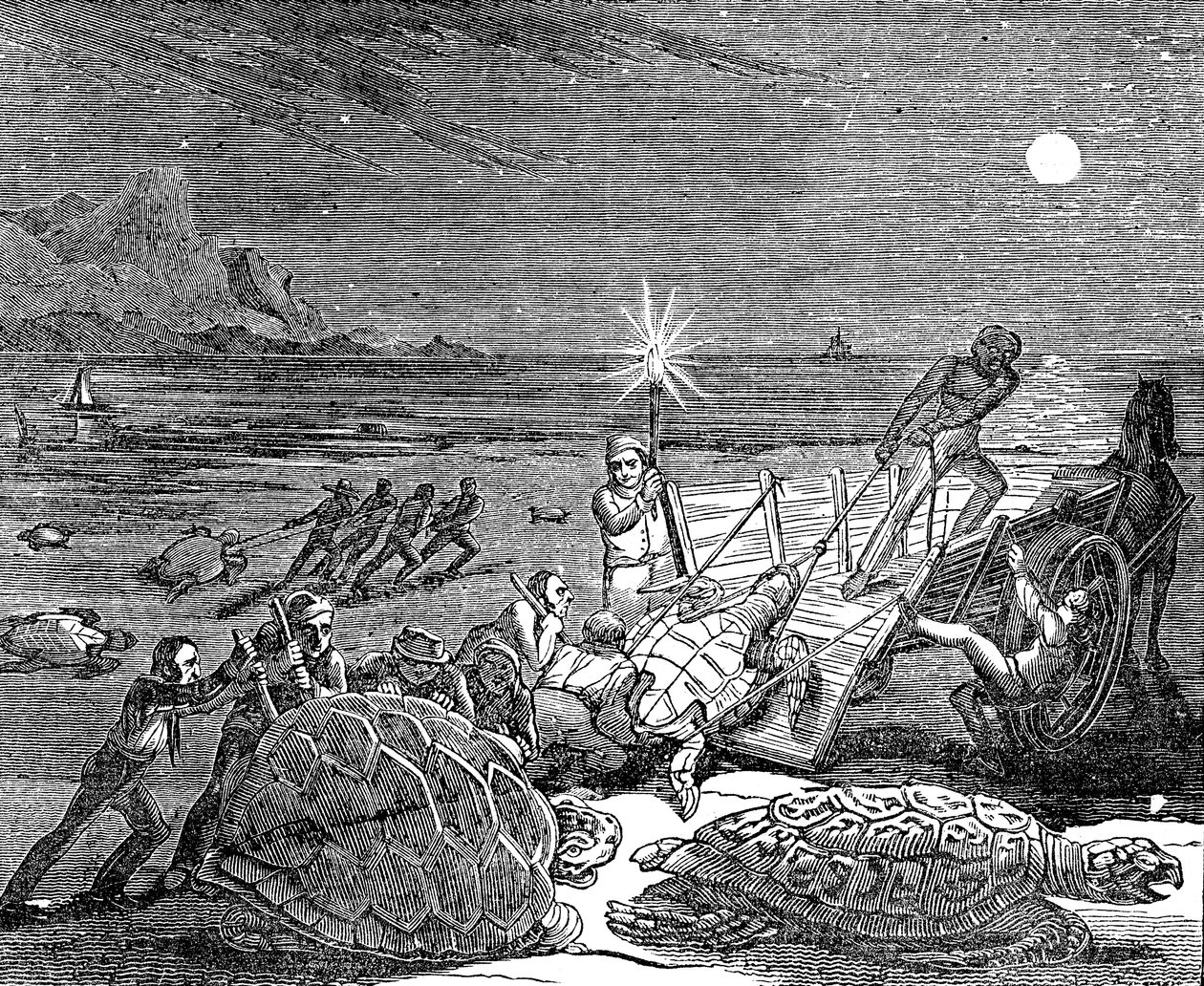 Vihreät kilpikonnat ja metsäkilpikonnat vangittiin Kuuban rannikolla vuonna 1832 tekijältä Unbekannt