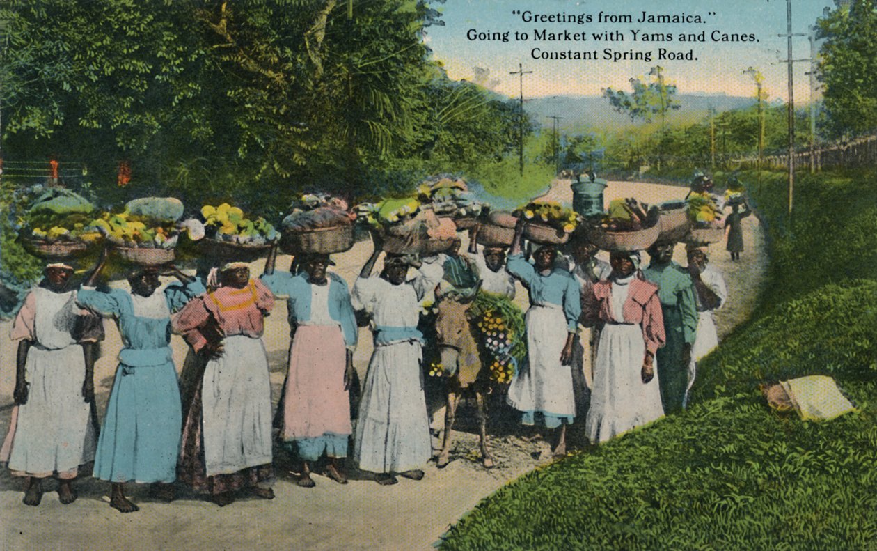 Terveisiä Jamaikalta. Menemme torille jamssin ja keppien kanssa. Constant Spring Road, 1913. tekijältä Unbekannt