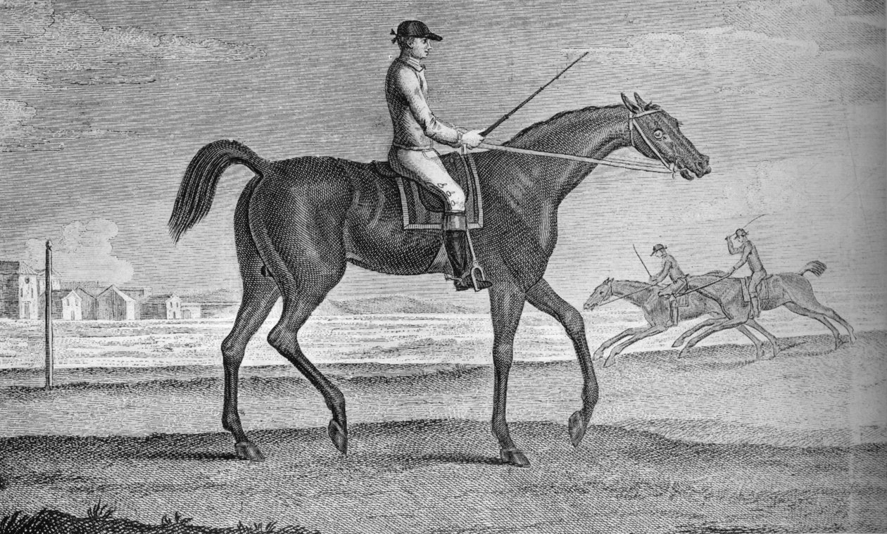 Grenadieri, 1700-luku, 1911 tekijältä Unbekannt