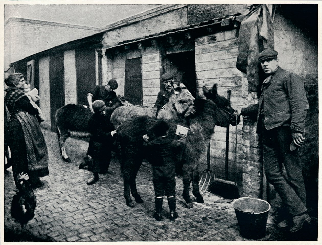 Aasien hoito, Lontoo, c1903 1903 tekijältä Unbekannt