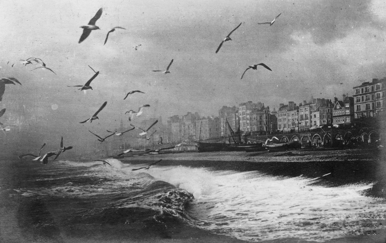 Lokit Brightonissa, East Sussexissa, 1900-luvun alku tekijältä Unbekannt