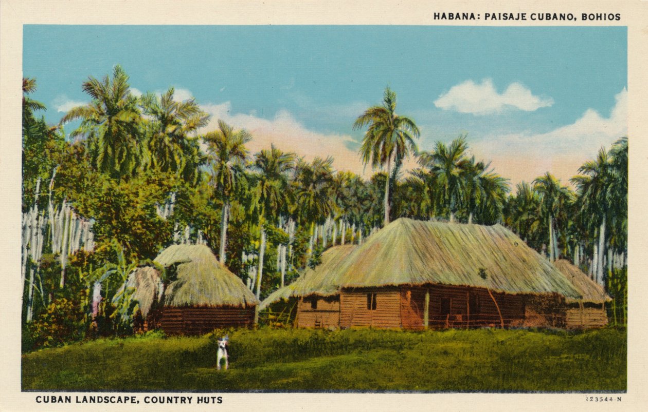 Havanna: Kuubalainen maisema, Bohios. Kuuban maisema, maalaismajat, 1910 tekijältä Unbekannt