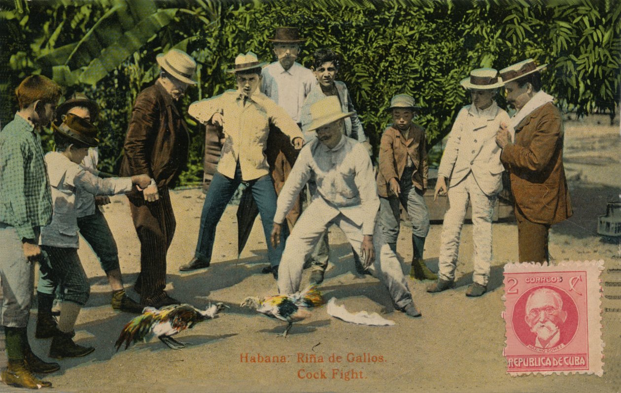 Havanna: Rina de Gallos. Kukon taistelu, 1918 tekijältä Unbekannt