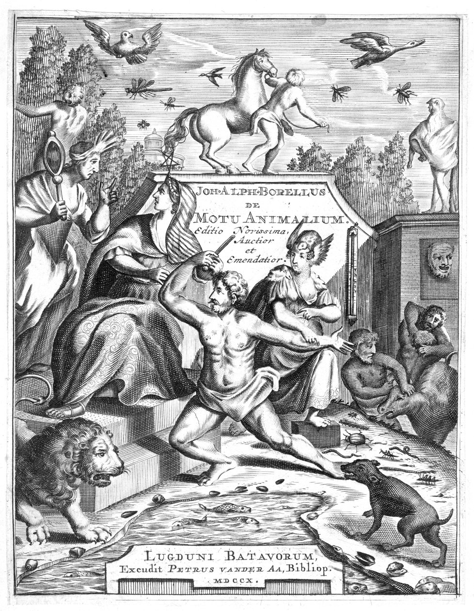 Giovanni Borellin De Motu Animalumin puolinimike, 1710 tekijältä Unbekannt