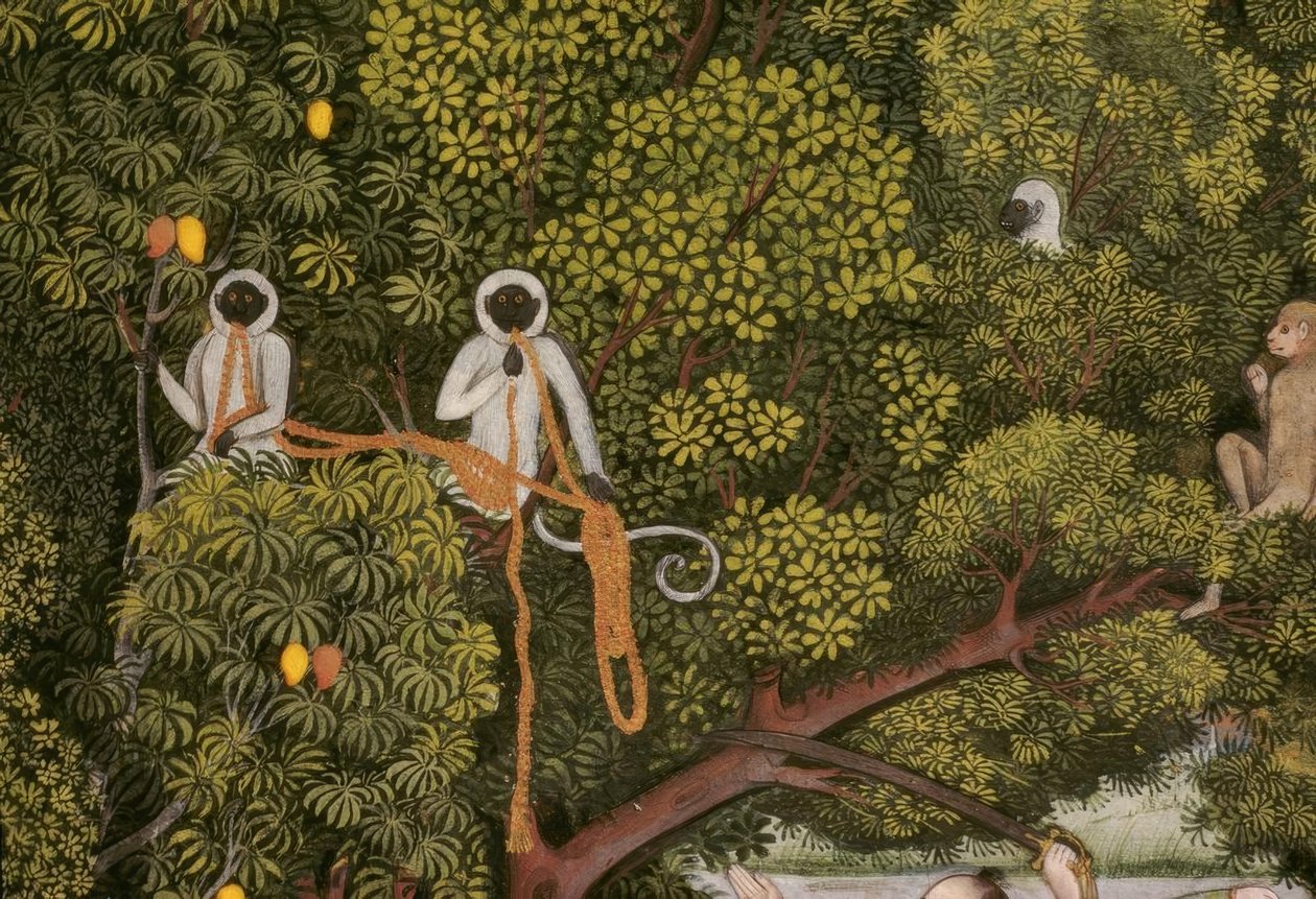 Hanuman-Languren Intian pienoismalli tekijältä Unbekannt