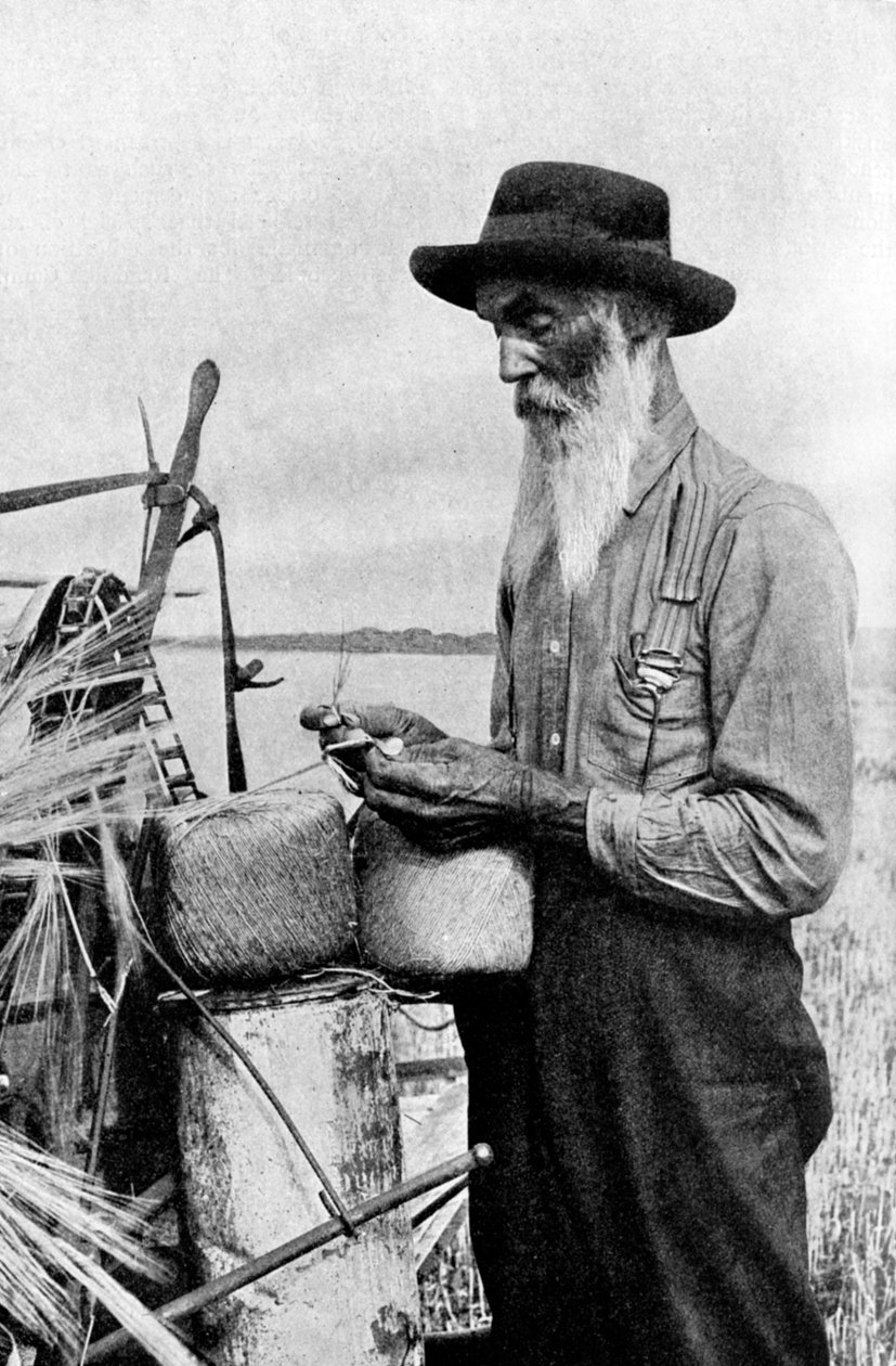 Sadonkorjuuaika Red Riverin alueella Albertassa, Kanadassa, 1922 tekijältä Unbekannt