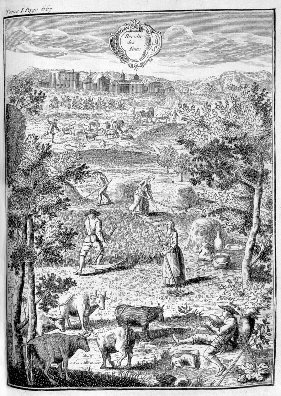 Heinän korjuu, 1775 tekijältä Unbekannt