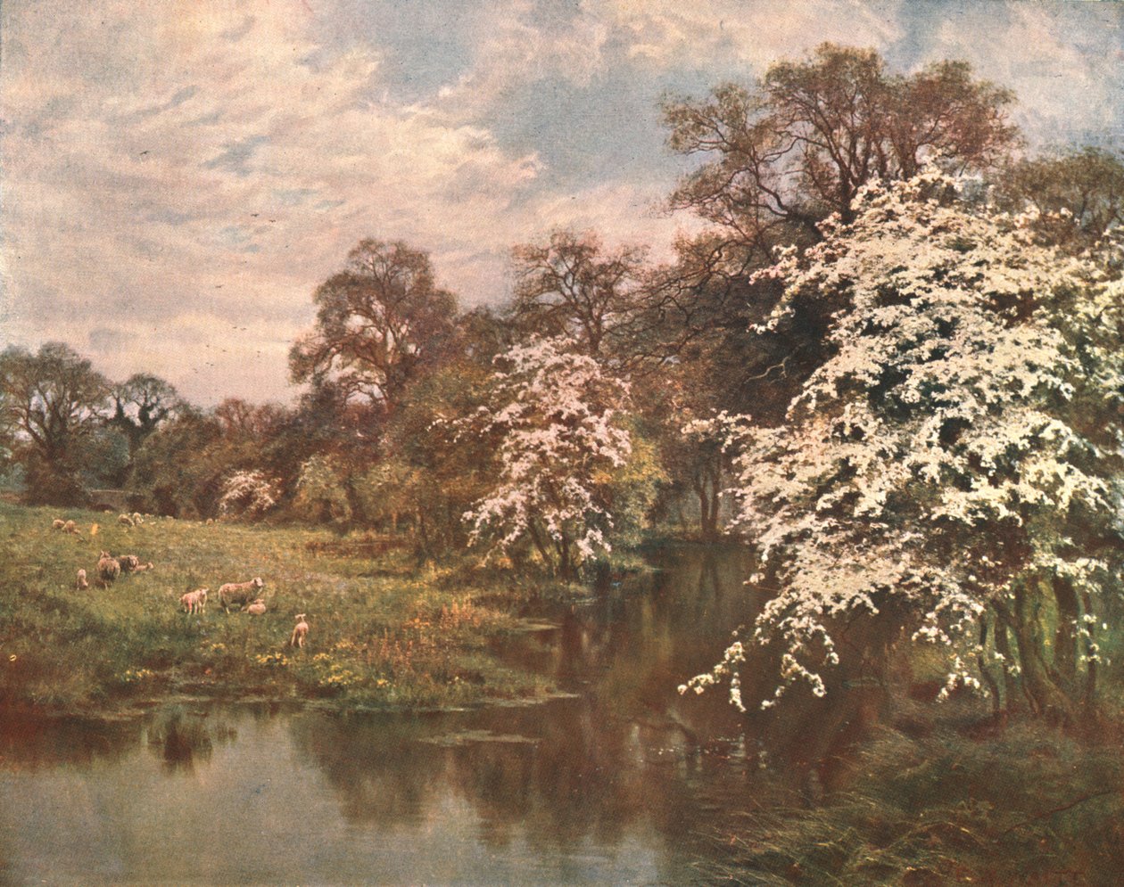 Hawthorn Blossoms, c1899, c1902. tekijältä Unbekannt