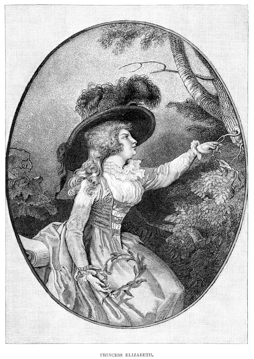 Hänen kuninkaallinen korkeutensa prinsessa Elizabeth, George III:n 3. tytär, 1800-luvulla tekijältä Unbekannt