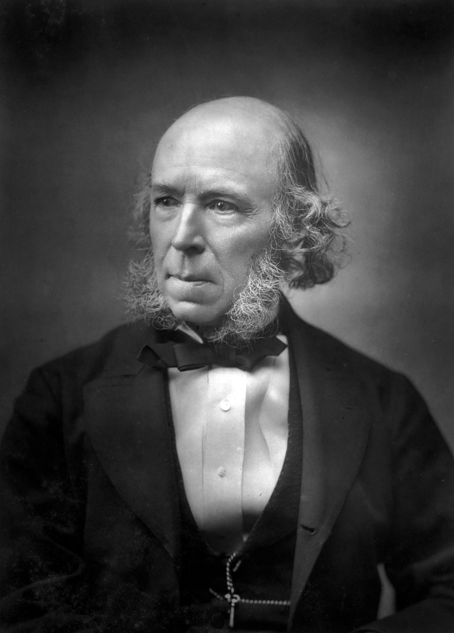 Herbert Spencer 1820-1903, 1800-luvun loppu tekijältä Unbekannt