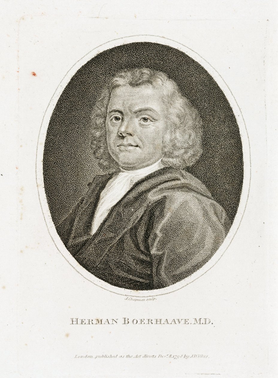 Herman Boerhaave, hollantilainen lääkäri, kemisti ja kasvitieteilijä, 1700-luvun alku tekijältä Unbekannt