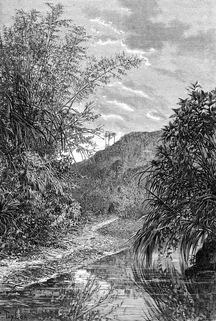 Highland Landscape, Formosa, 1890 tekijältä Unbekannt