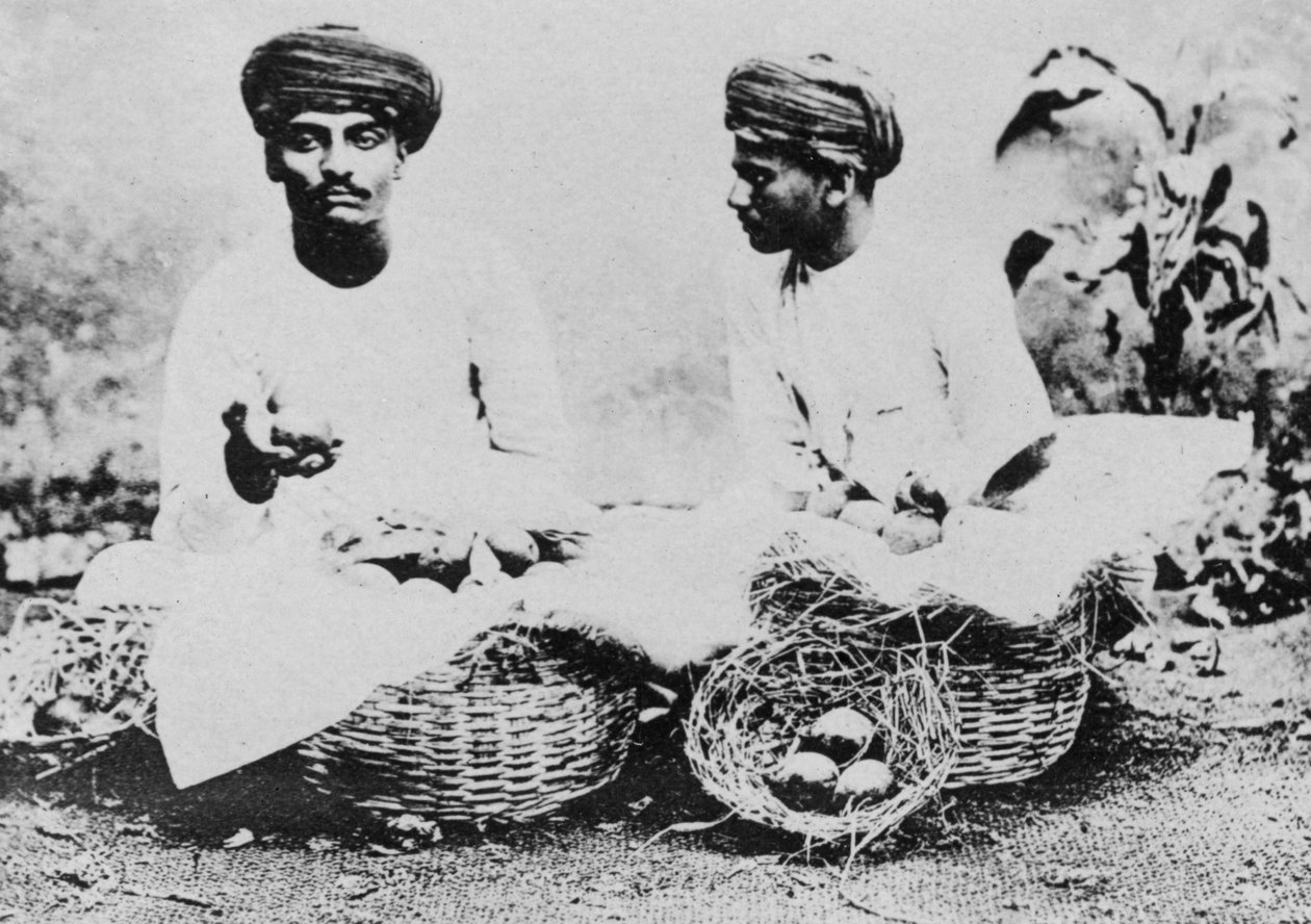 Hindu hedelmämyyjät, Intia, 1900-luku tekijältä Unbekannt