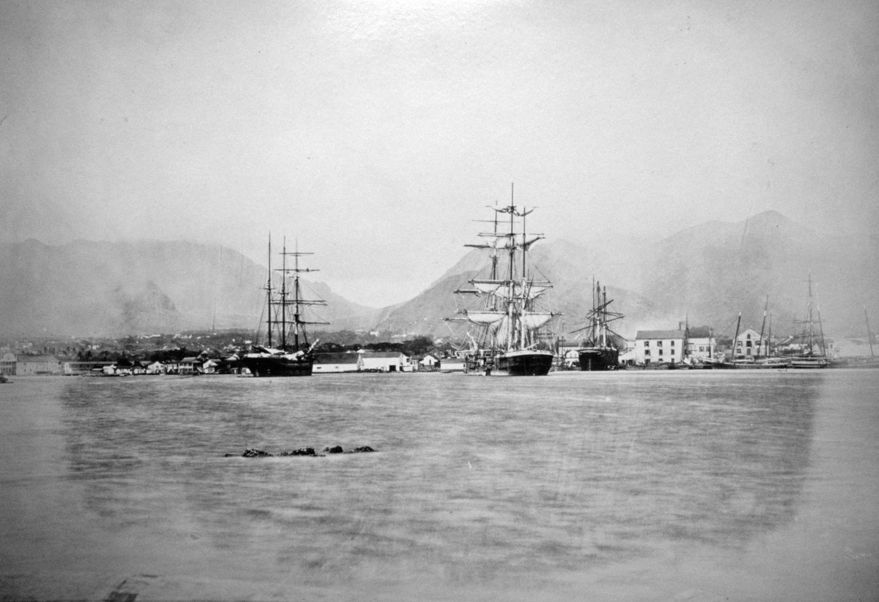 Honolulu, Havaiji, 1885-1890 tekijältä Unbekannt