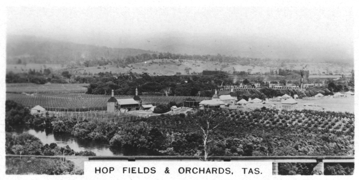 Humalapellot ja hedelmätarhat, Tasmania, Australia, 1928 tekijältä Unbekannt