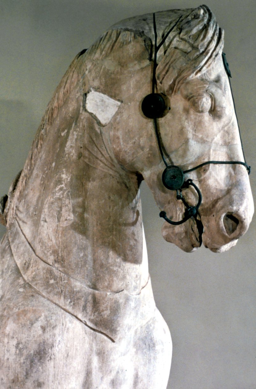 Hevonen, Halikarnassoksen mausoleumin Quadriga, 350 eaa tekijältä Unbekannt