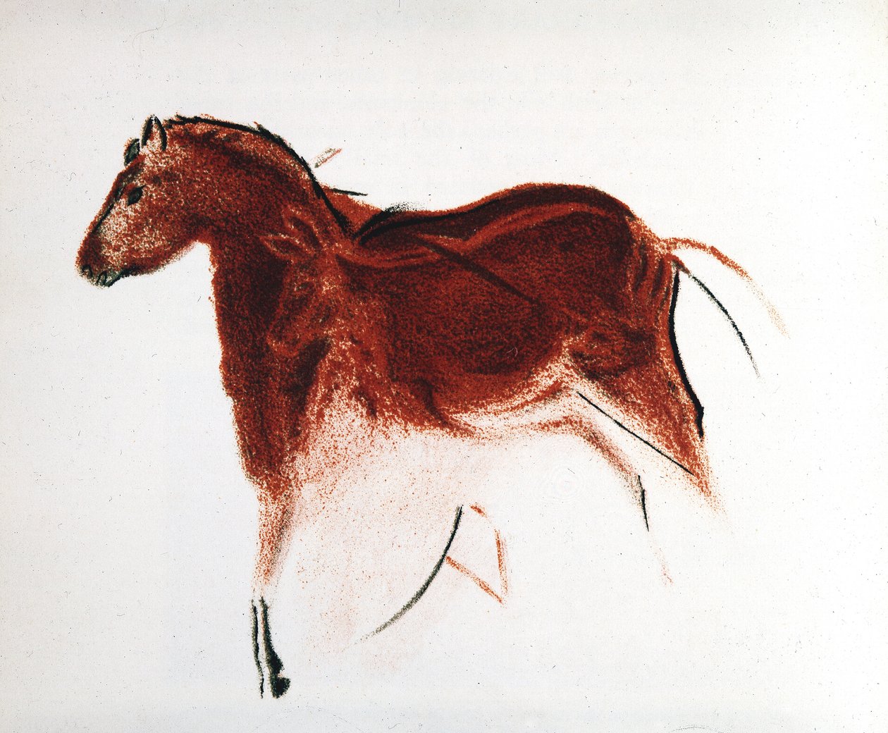 Hevonen ja Hind, paleoliittinen luolamaalaus Altamirasta, Etelä-Espanjasta, n. 16 000-9000 eaa. tekijältä Unbekannt