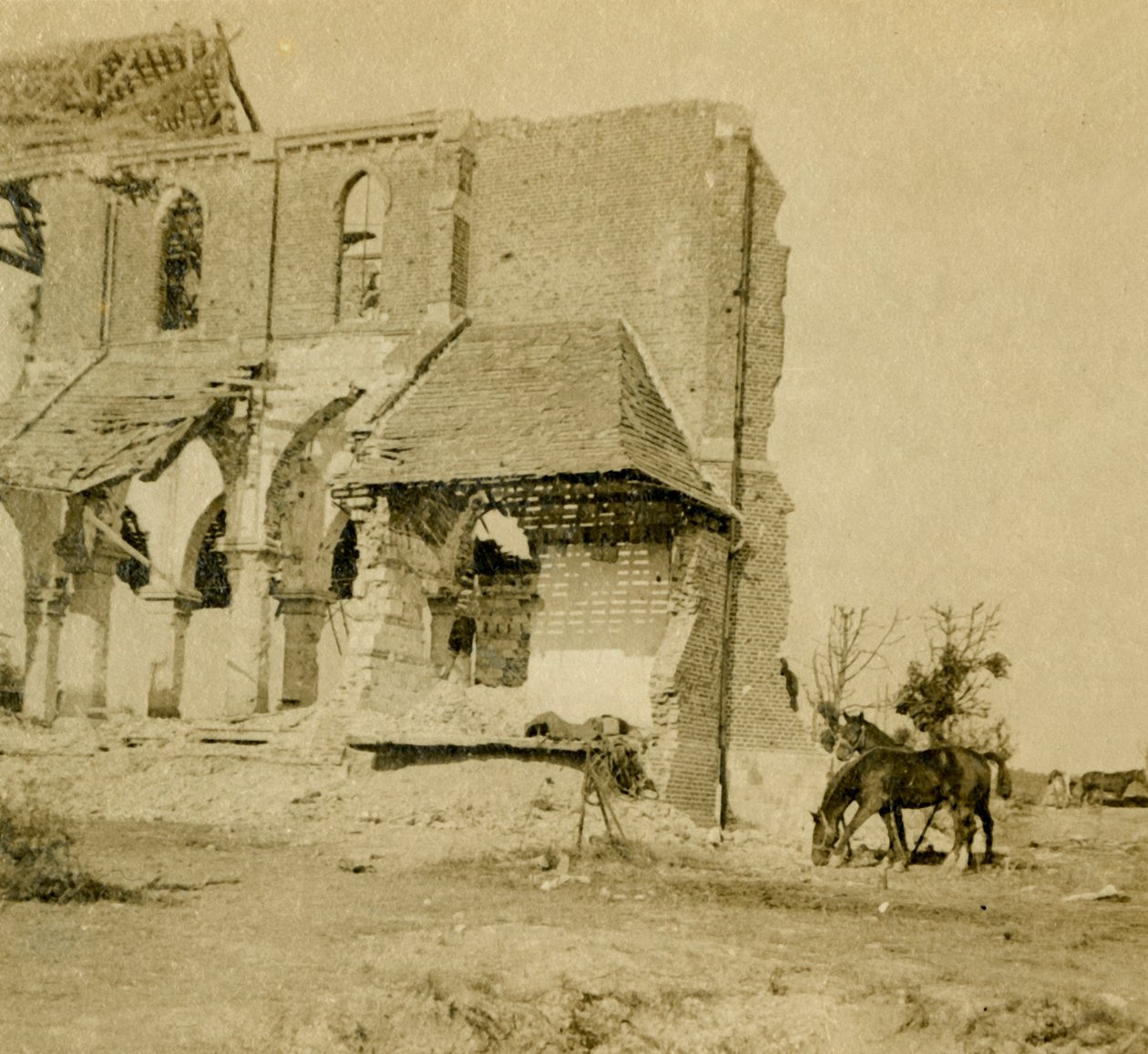 Hevoset laiduntavat lähellä rauniokirkkoa, Frise, Pohjois-Ranska, c1914-c1918 tekijältä Unbekannt