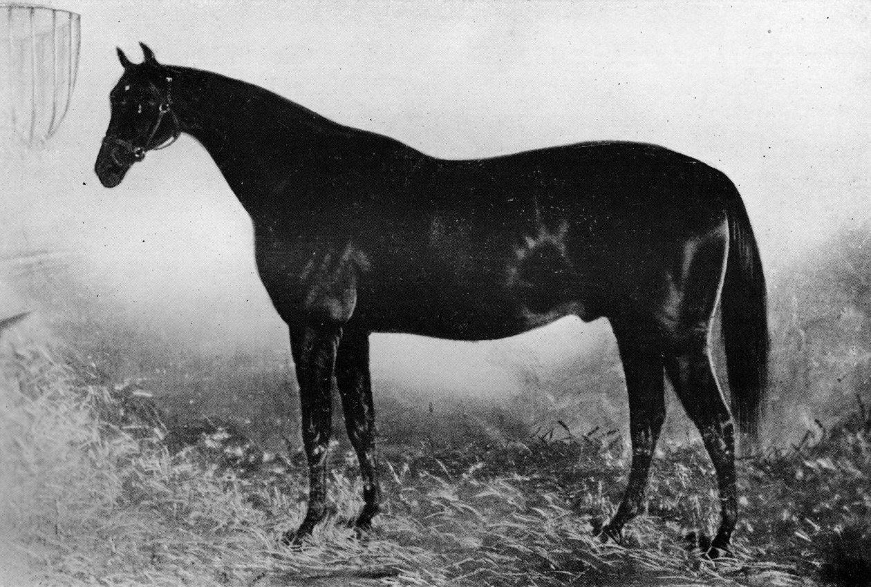 Vieraanvaraisuus, 1800-luku, 1911 tekijältä Unbekannt
